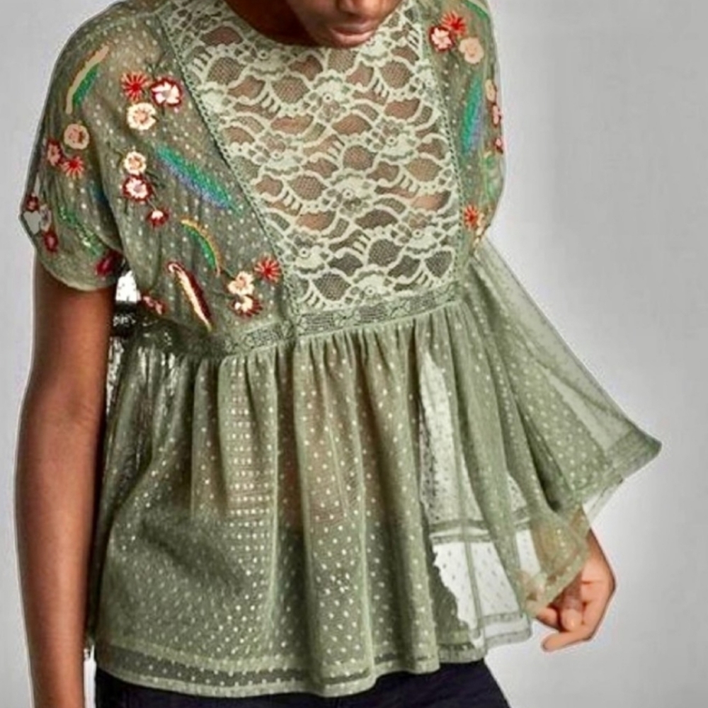 Zara Sheer Mesh Peplum Embroidered Top Blouse